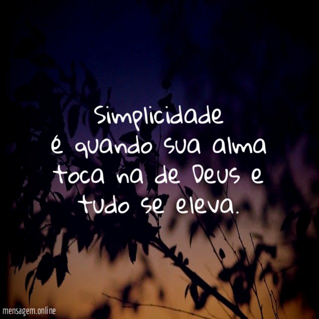 Simplicidade é quando sua alma toca na de Deus e tudo se eleva