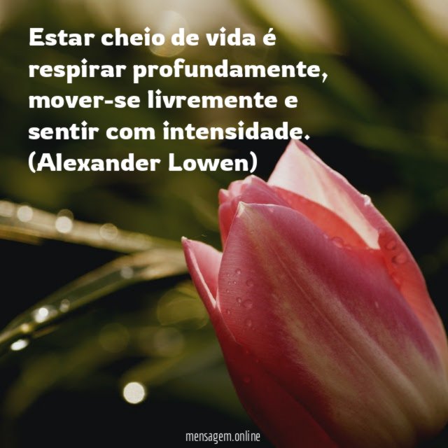 Estar cheio de vida