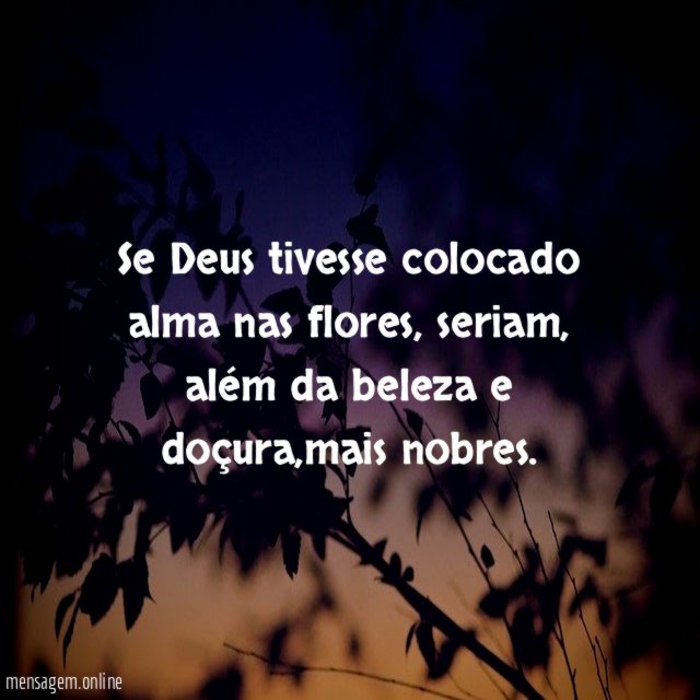 Se Deus tivesse colocado alma nas flores