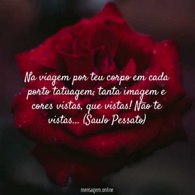 Viajei