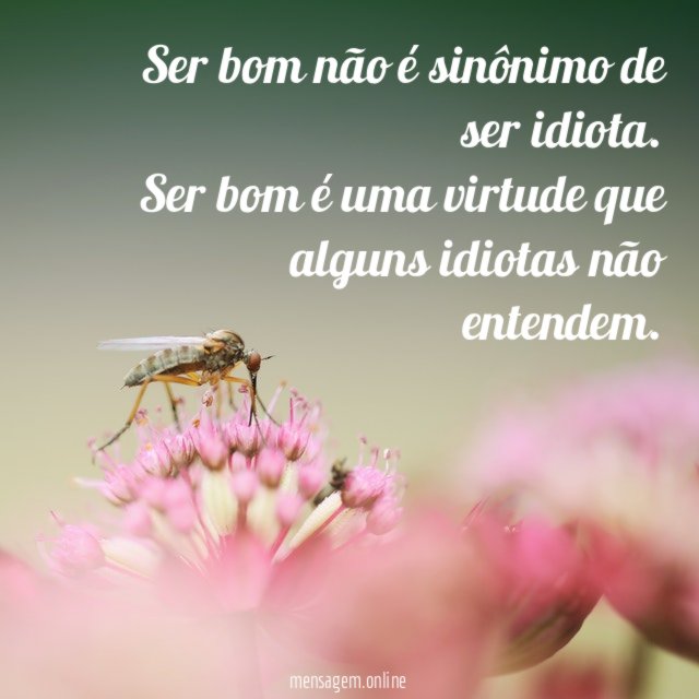 Ser bom