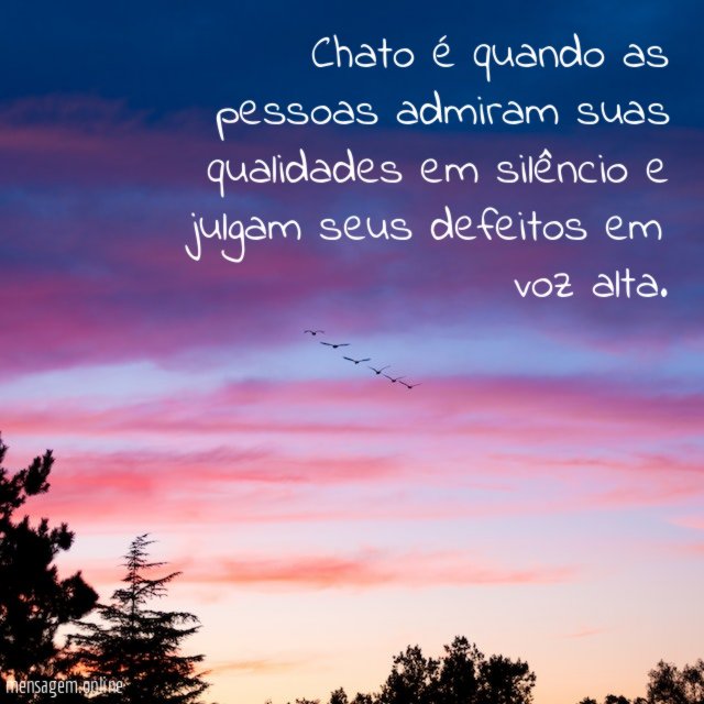 Chato