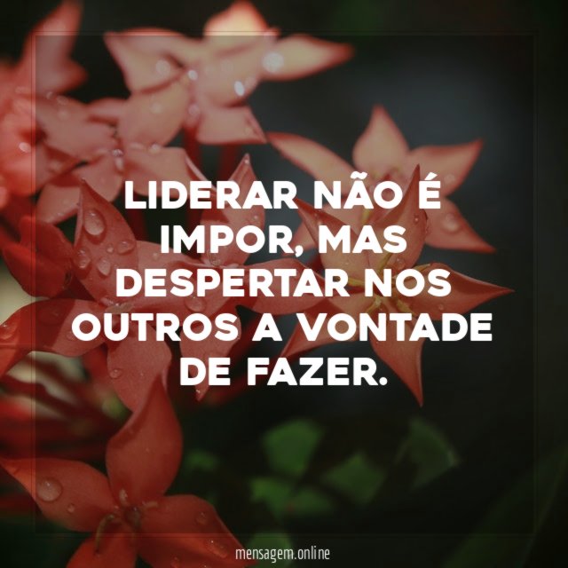 Liderar não é impor