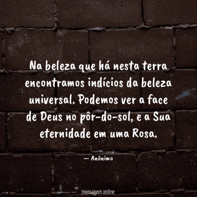 Na beleza que há nesta terra encontramos indícios da beleza universal