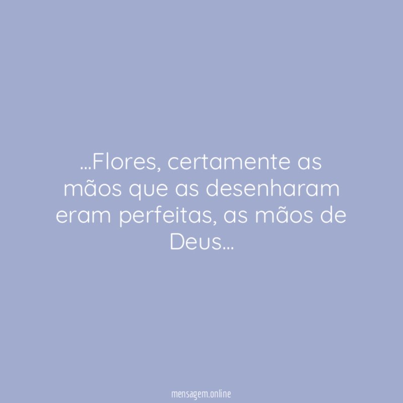 Flores