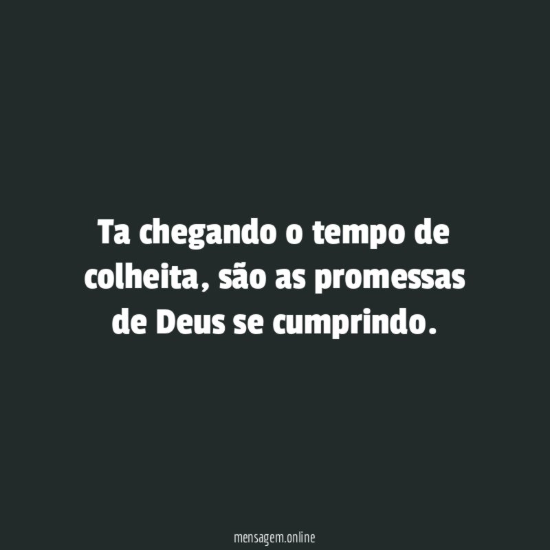 Ta chegando o tempo de colheita