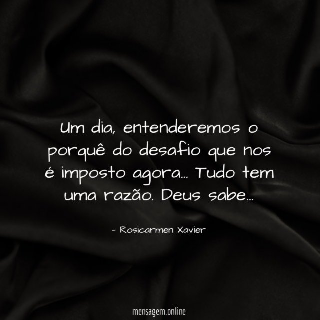 Um dia