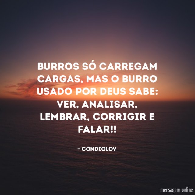 Burros só carregam cargas