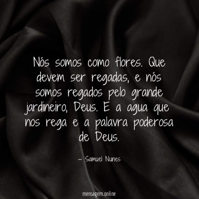 nós somos como flores