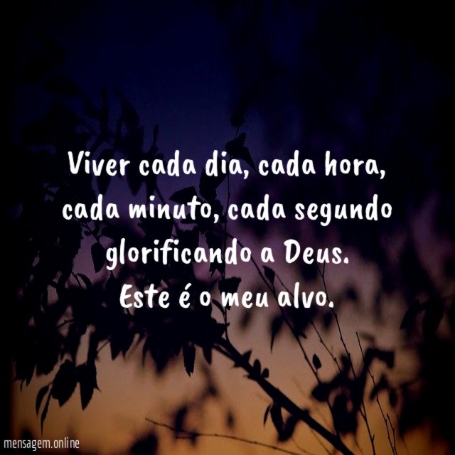 Viver cada dia