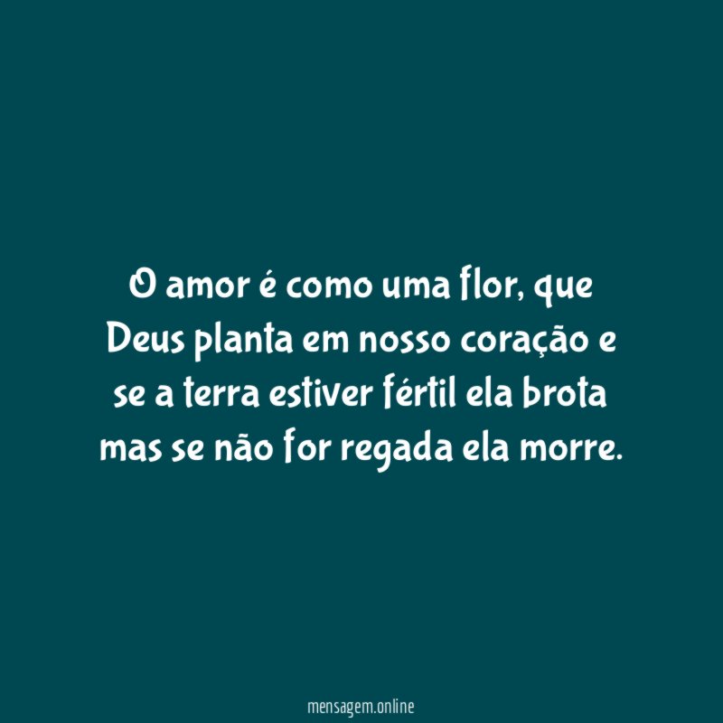 O amor é como uma flor