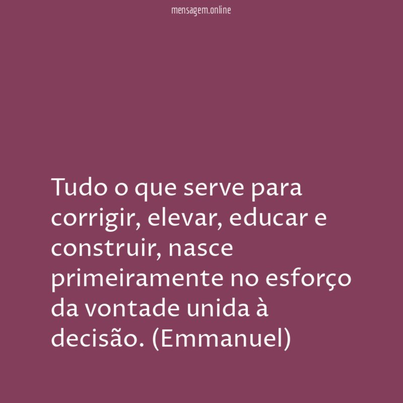 Tudo o que serve