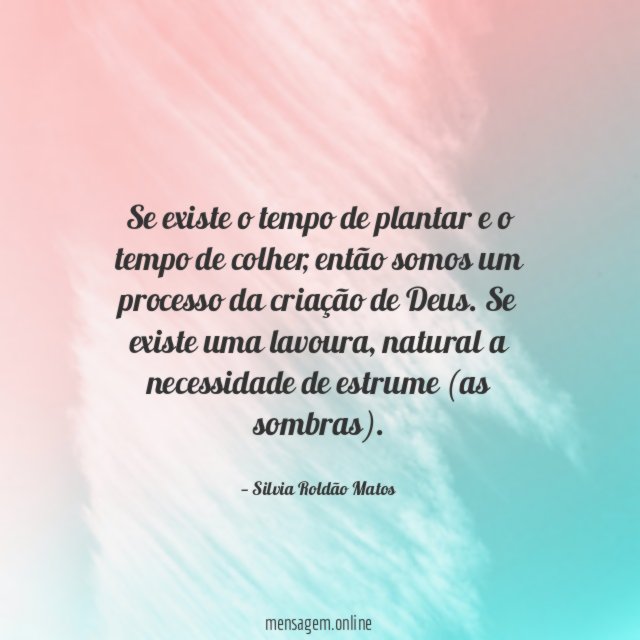 Se existe o tempo de plantar e o tempo de colher
