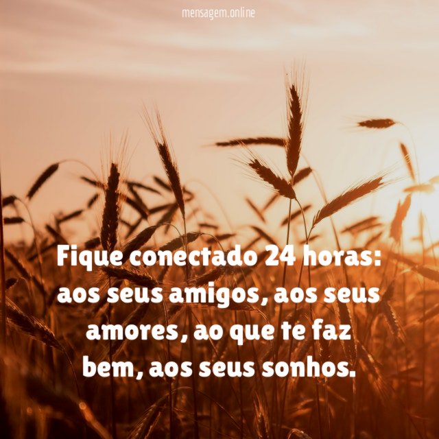 Fique conectado
