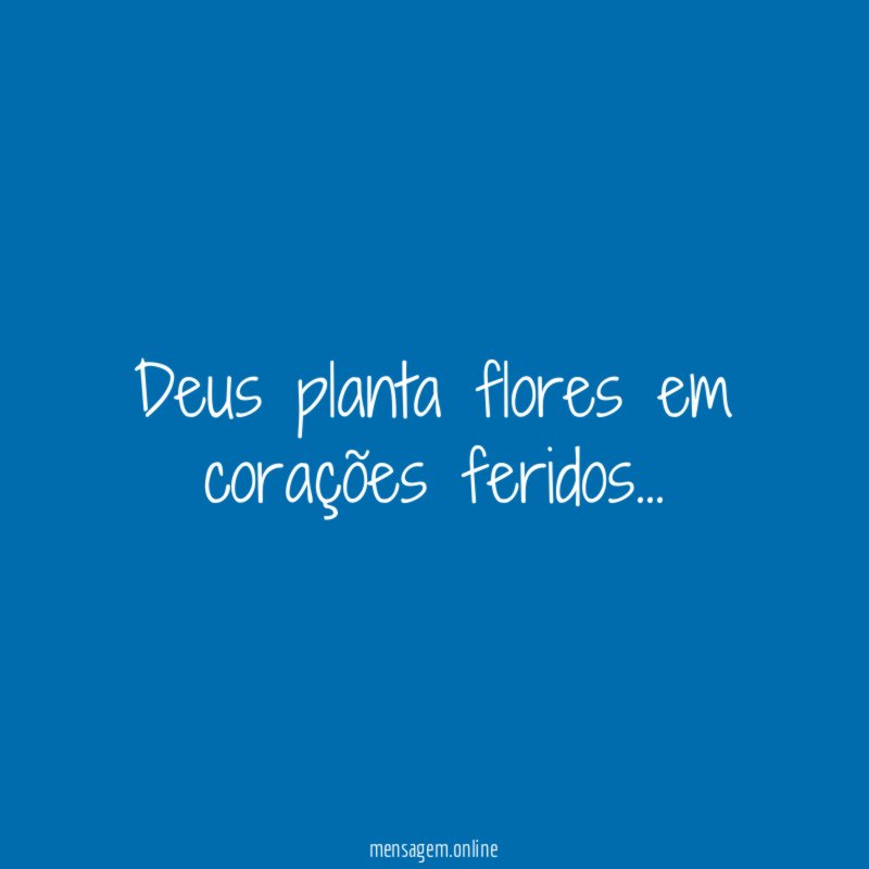 Deus planta flores em corações feridos