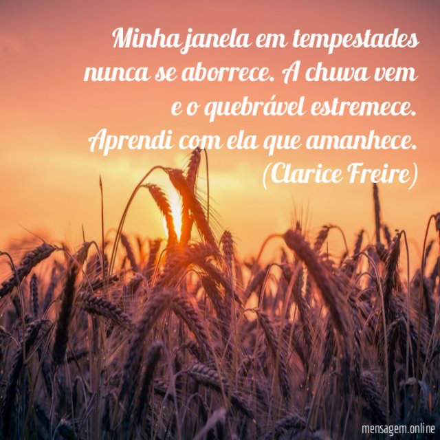 Minha janela