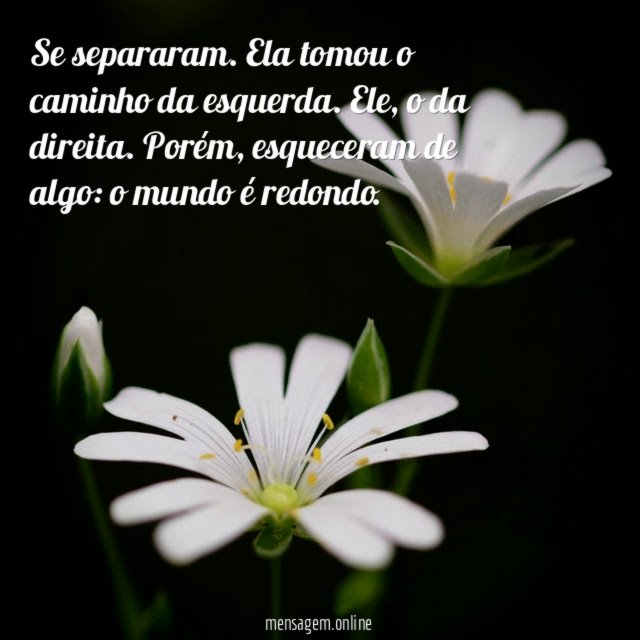 O mundo é redondo