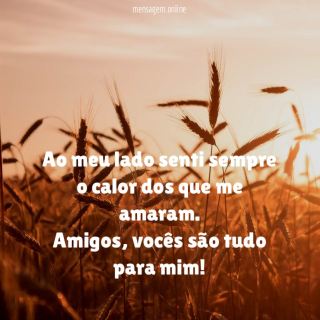 Ao meu lado senti sempre o calor dos que me amaram