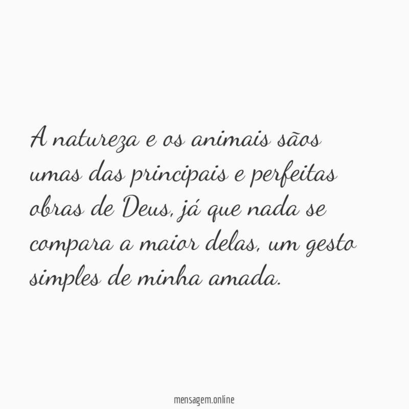 A natureza e os animais sãos umas das