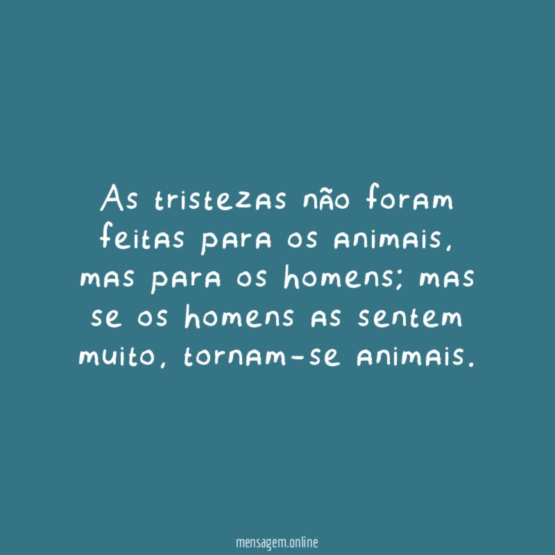 As tristezas não foram feitas para os animais