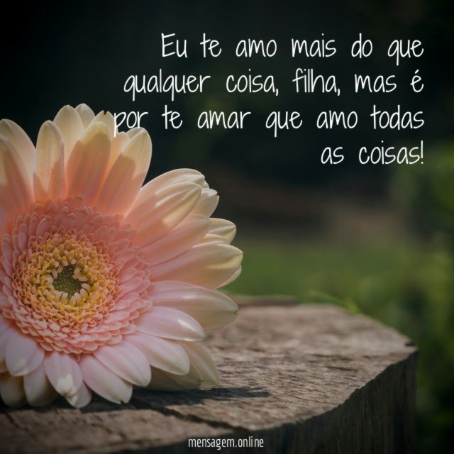Eu te amo mais do que qualquer coisa