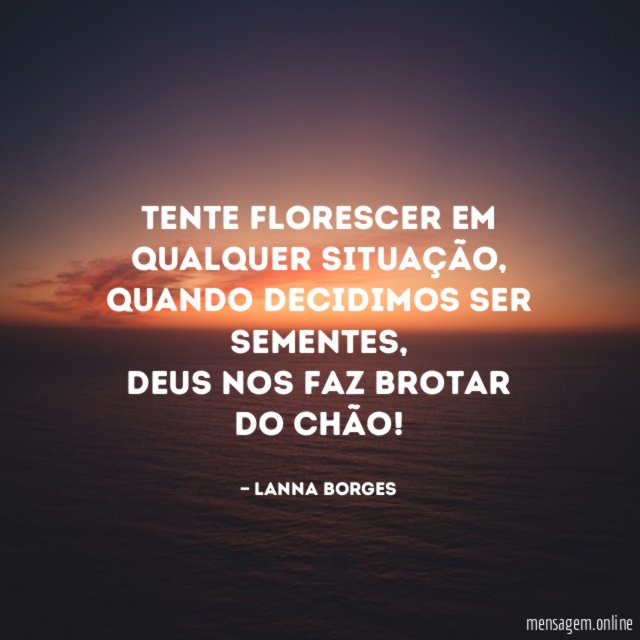 Tente florescer em qualquer situação