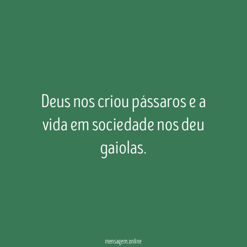 Deus nos criou pássaros e a vida em