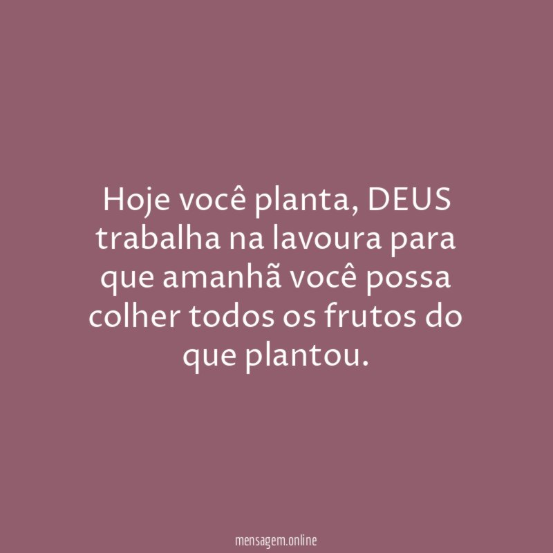 Hoje você planta
