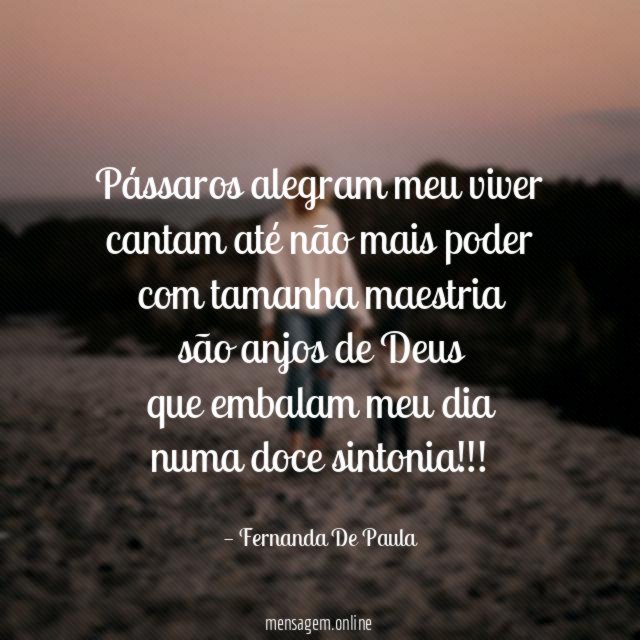 pássaros alegram meu viver cantam até não mais poder com