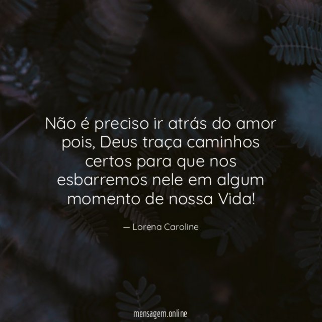 Não é preciso ir atrás do amor pois