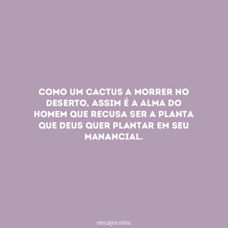 Como um cactus a morrer no deserto