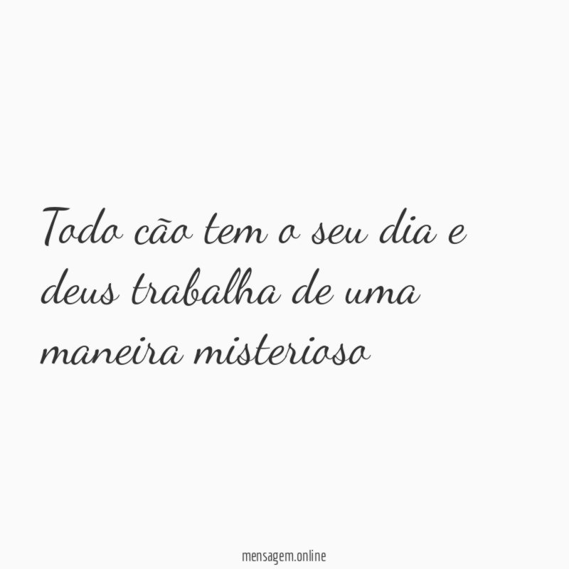 Todo cão tem o seu dia e deus