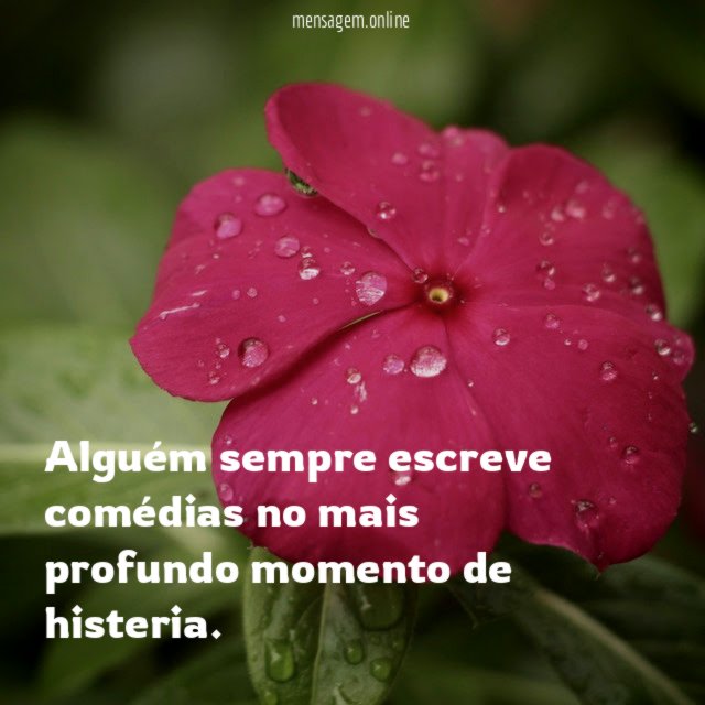 Alguém sempre escreve comédias no mais profundo momento de histeria