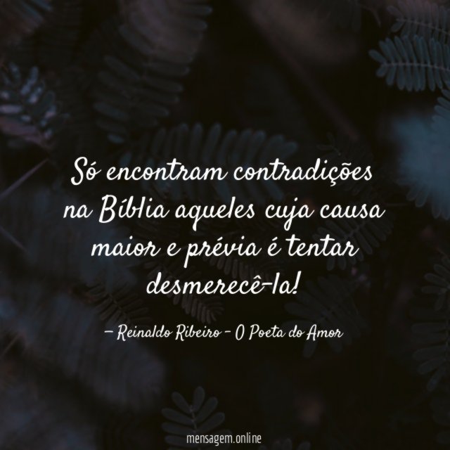 Só encontram contradições na Bíblia aqueles cuja causa