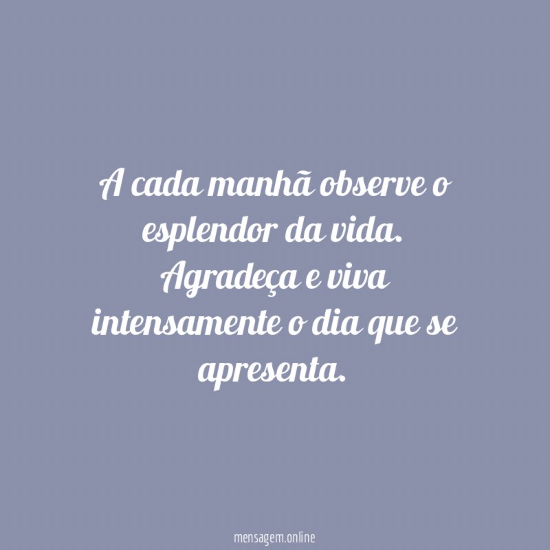 A cada manhã observe o esplendor da vida