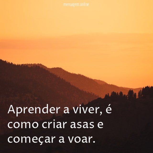 Aprender a viver
