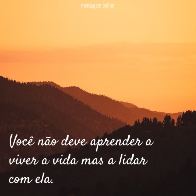 Você não deve aprender a viver a vida