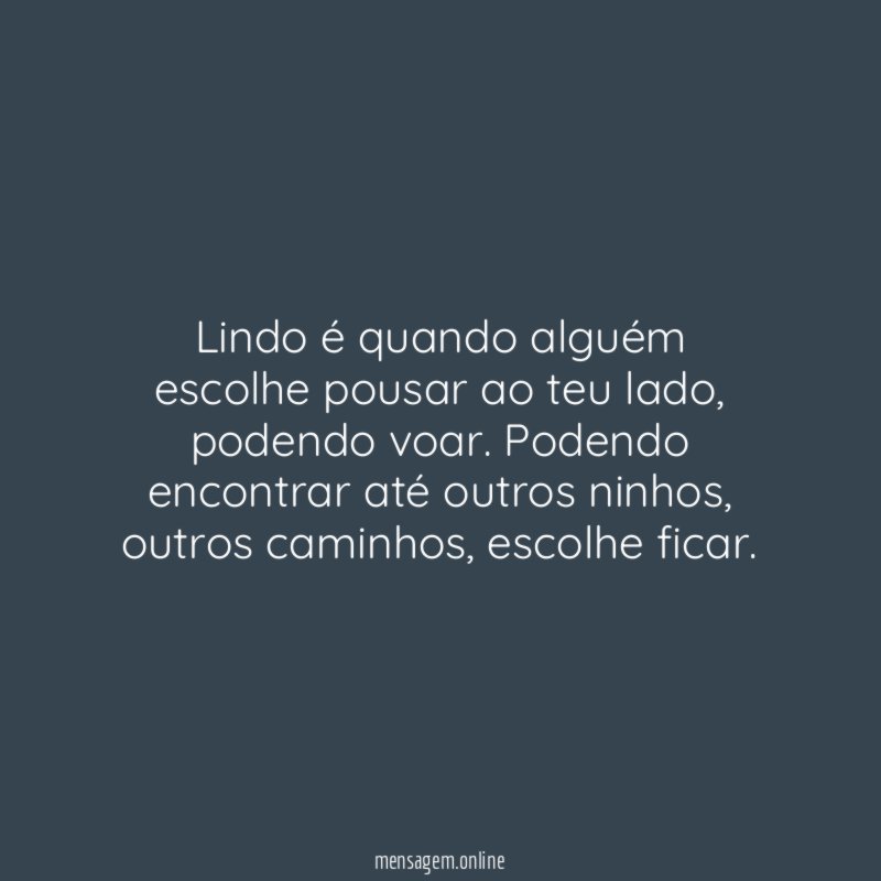 Lindo é quando alguém escolhe pousar ao teu lado