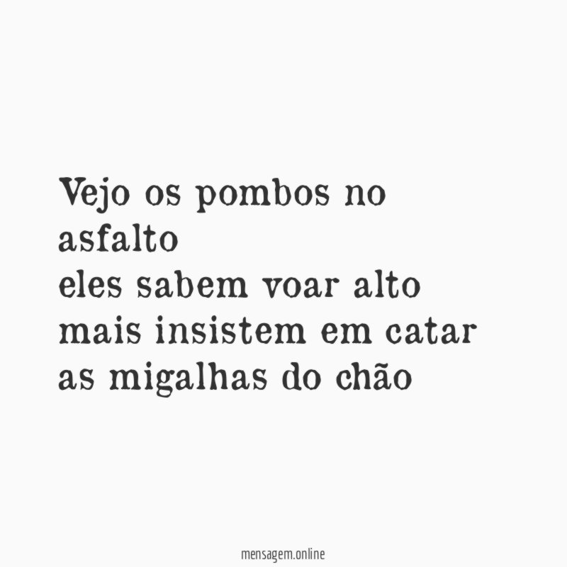 Vejo os pombos no asfalto eles sabem voar alto mais