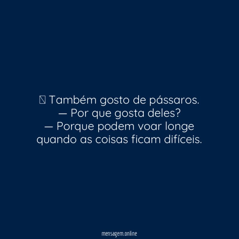 — Também gosto de pássaros