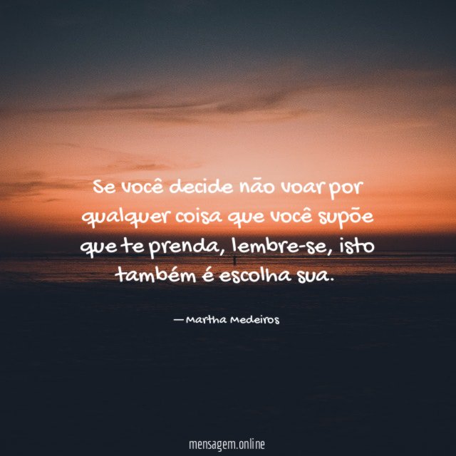 Se você decide não voar por qualquer coisa