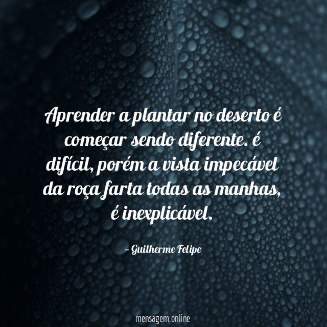 Aprender a plantar no deserto é começar sendo diferente