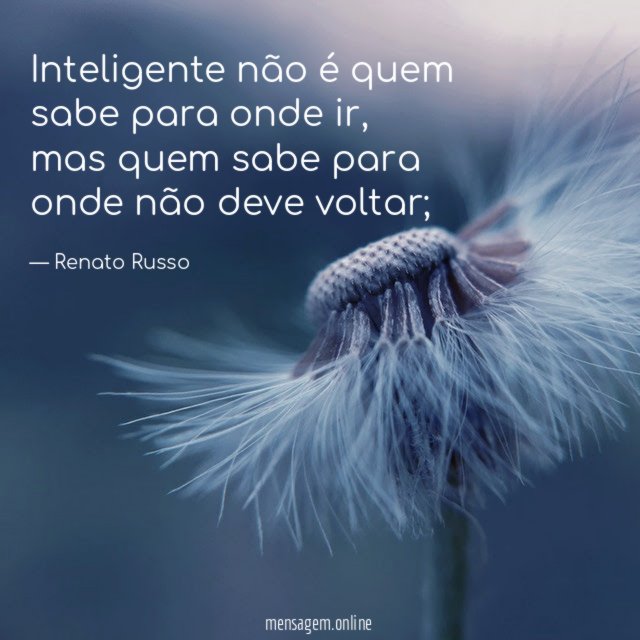 Inteligente não é quem sabe para onde ir