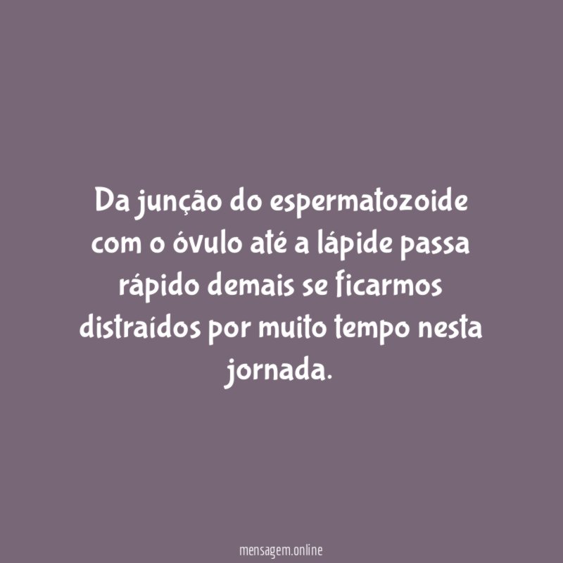Da junção do espermatozoide com o óvulo até