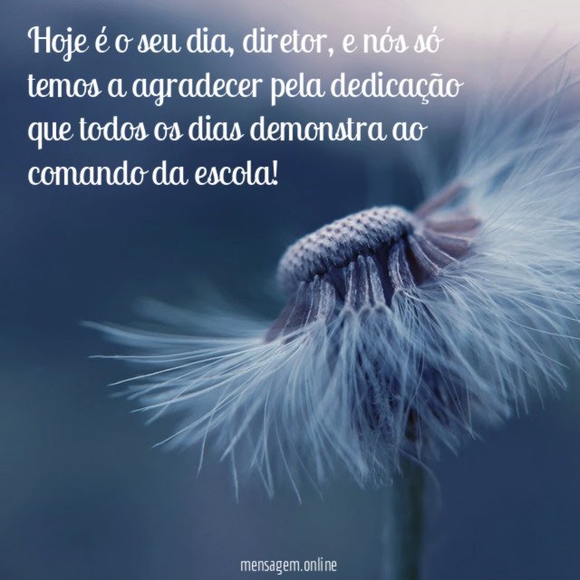 Hoje é o seu dia