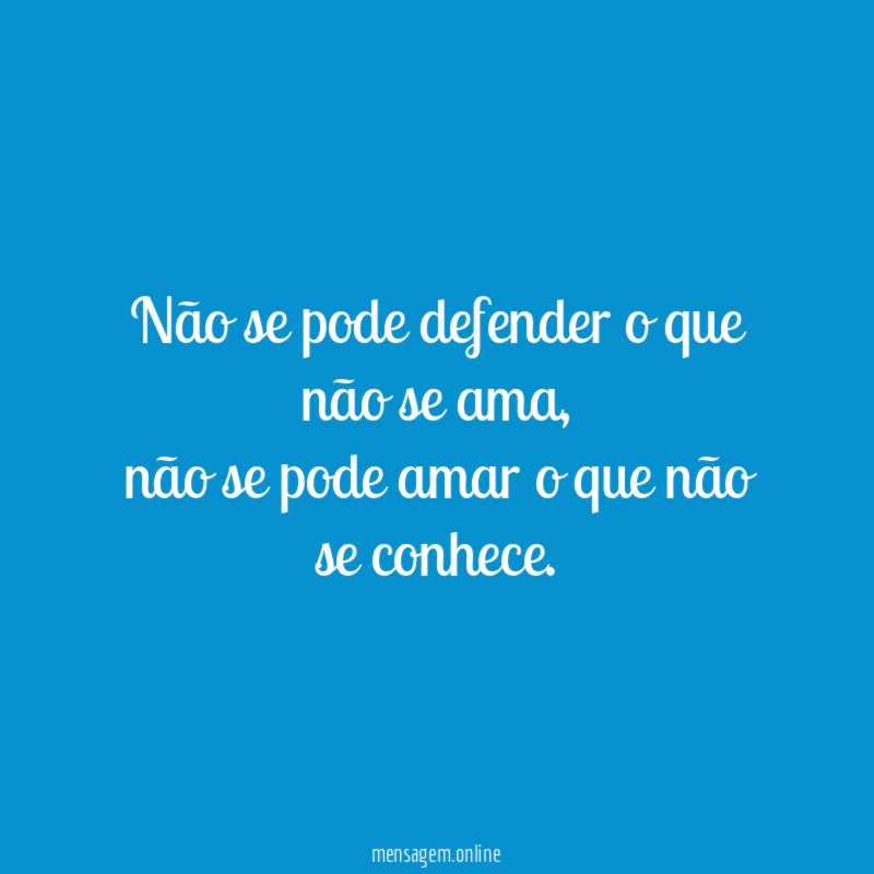 Não se pode defender o que não se ama