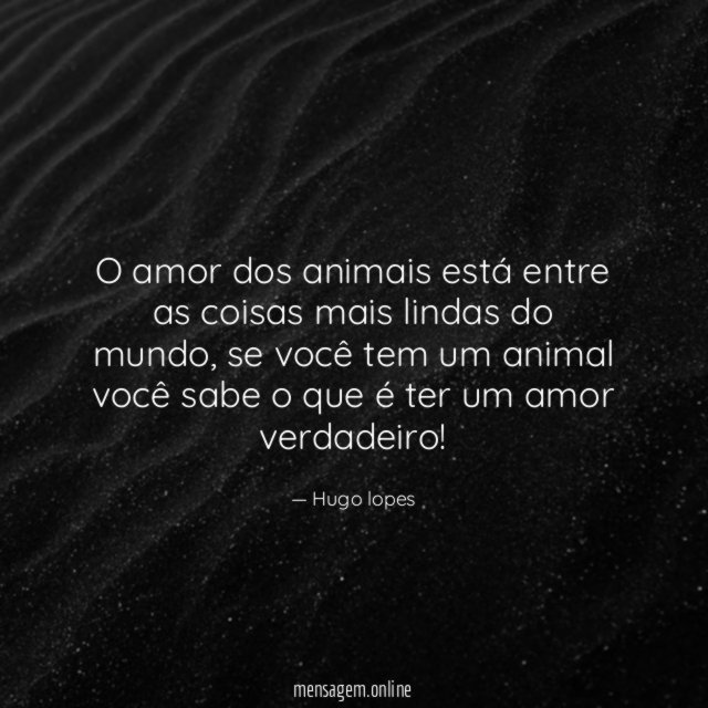 O amor dos animais está entre as coisas mais lindas do mundo