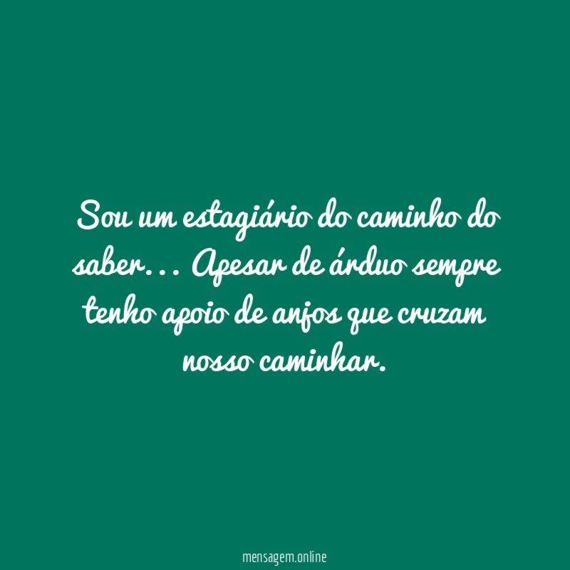 Sou um estagiário do caminho do saber