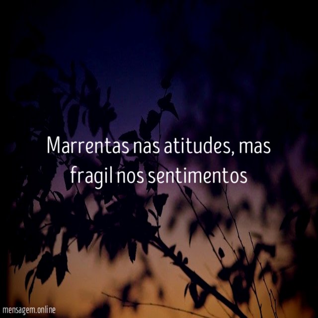 Marrentas nas atitudes