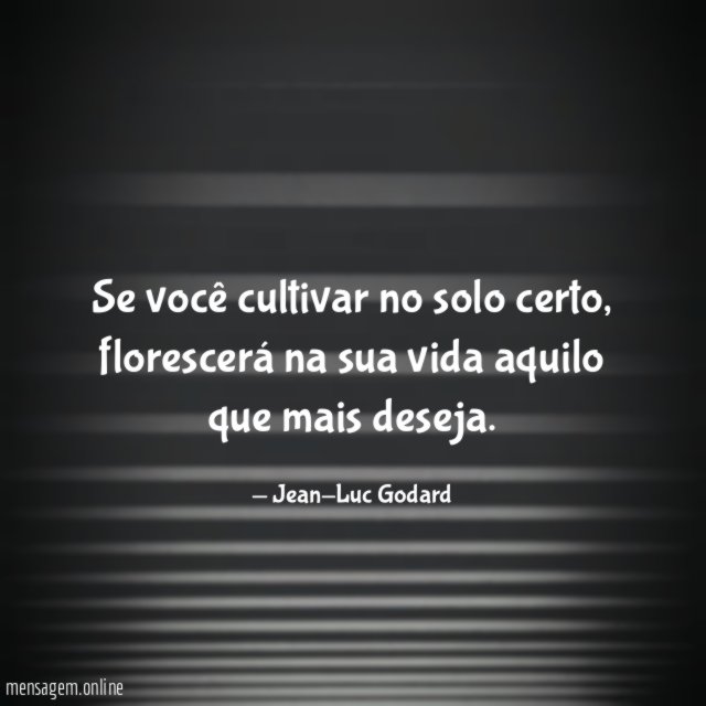 Se você cultivar no solo certo